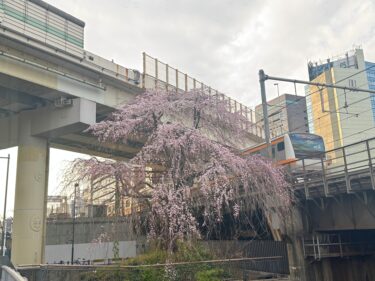 ３月２３日(日)乗務日報 飛び石連休最終日